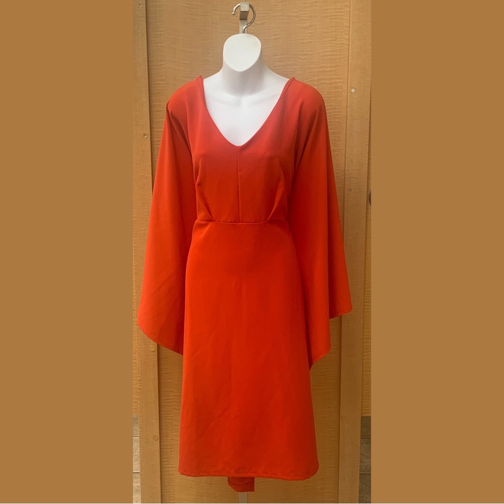 Ashley Stewart’s Red Dress